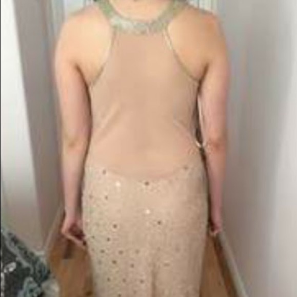 Sparkly Blush Gown - Picture 6 of 9